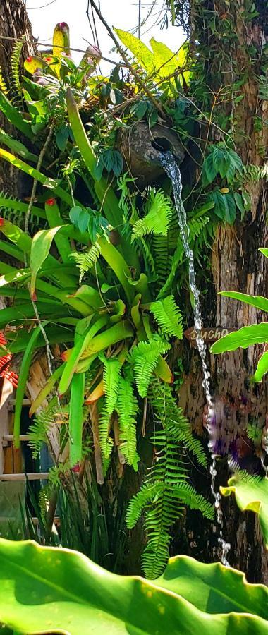 Pousada Villa Maritima Trindade  Bagian luar foto